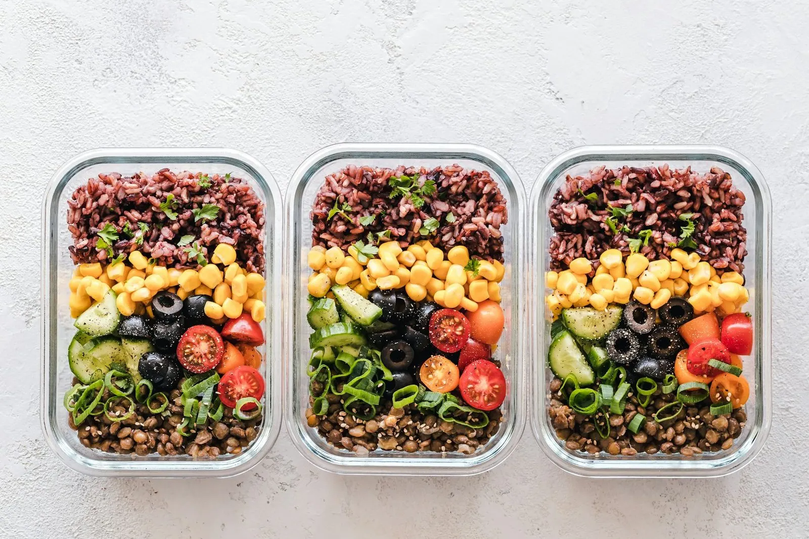 Recipientes con comida preparada y balanceada